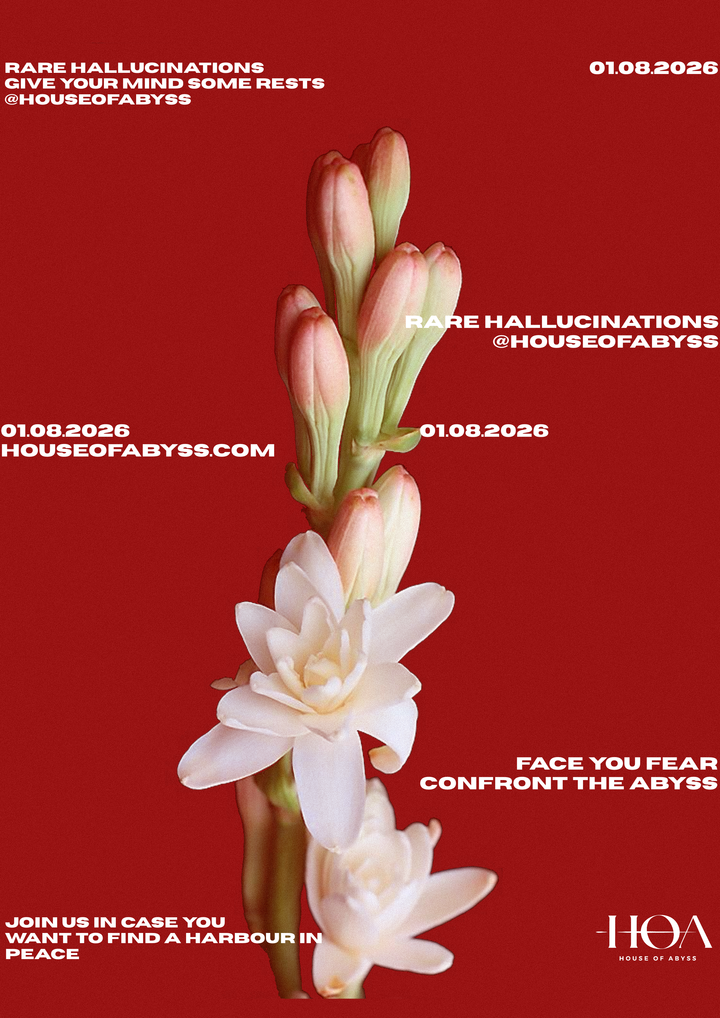 Nocturnal Bloom 2